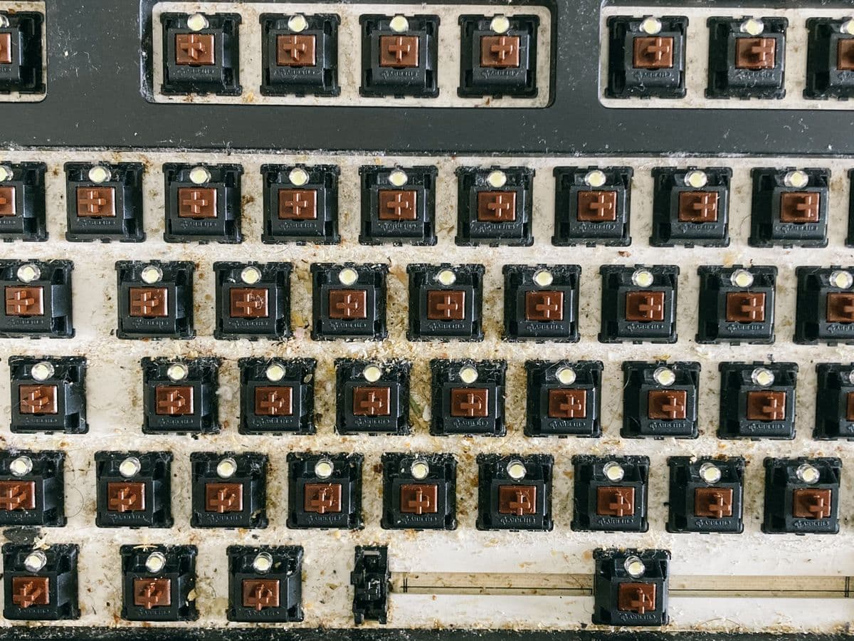 Keyboard & Input Recovery