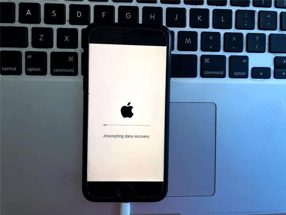 iPhone Data Recovery