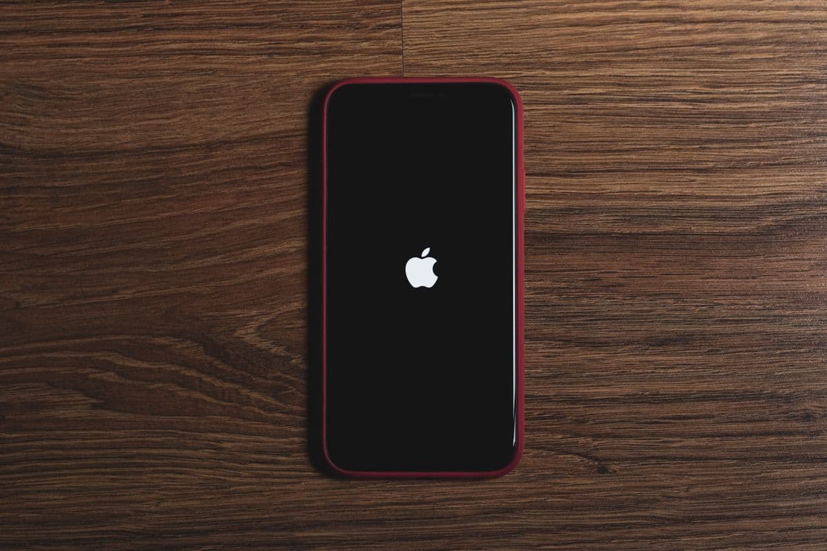 iPhone Software Repair