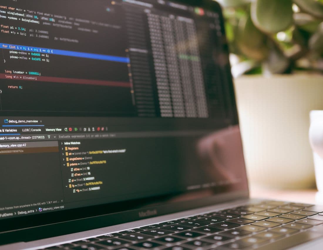 Software services — OS, virus removal and optimisation in Dubai